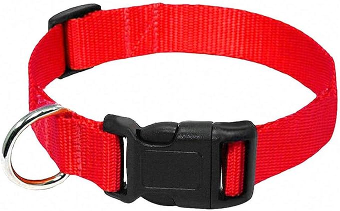 Lakke Nylon Webbing Dog Collar Heavy Duty Clip Buckle Pet Collar for Small Medium Dogs Chihuahua Dog Red Black Blue Purple 20