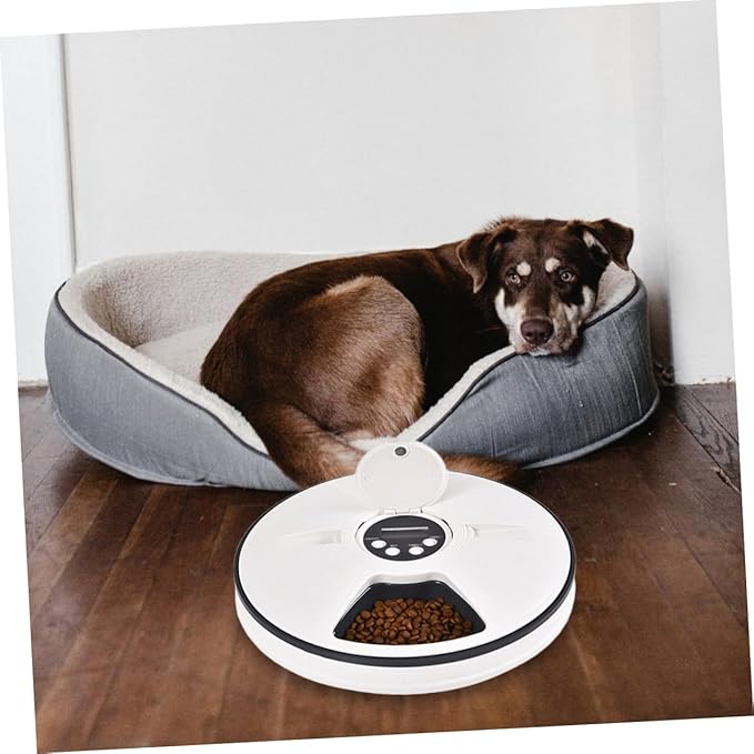 Timed Automatic Cat Feeder Meals Smart Pet Feeding Bowl for Cats and Dogs Detachable Design for Easy Cleaning Material Automatic Portion Control Music Reminder