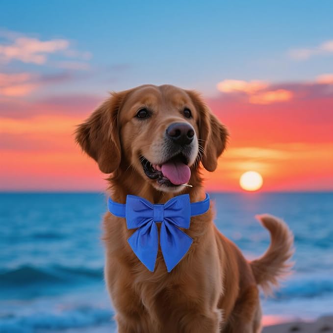 Maca Bates Klein Blue Dog Collar with Cute Solid Sailor Bow Tie for Small Girl Boy Dogs,Adjustbale Durable Breakaway Soft Collars with Bowtie for Female Male Puppy,Pet with Metal Buckle