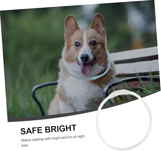 Led Rechargeable Dog Collar USB Charging Glowing Pet Accessory for Dogs and Puppies for and Festive Occasions