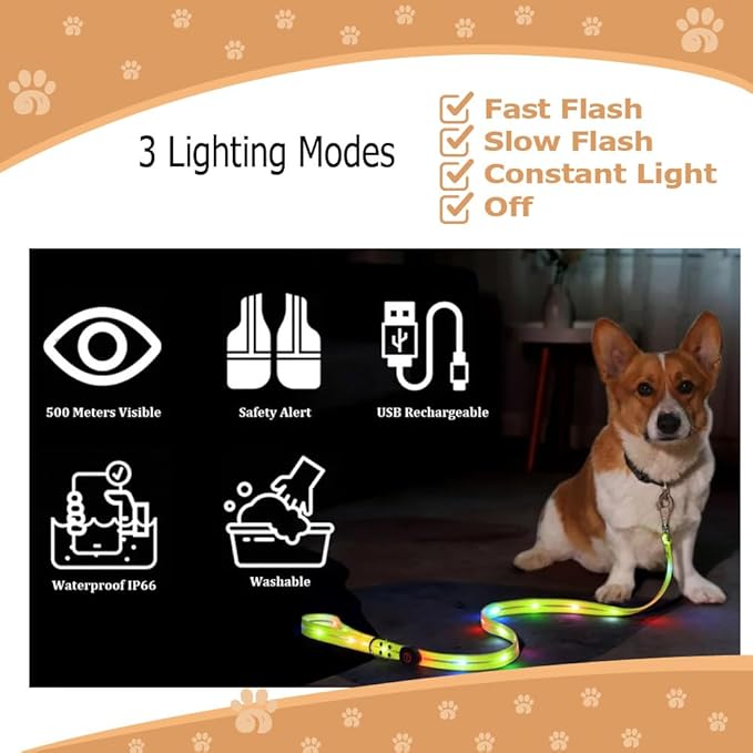 Safety Led Dog Leash for Night Walking - Glow in The Dark - Water Resistant Nylon Webbing - Lightweight and Heavy Duty - USB Rechargeable - RGB Color Changing - Suitable for All Dogs (Orange)