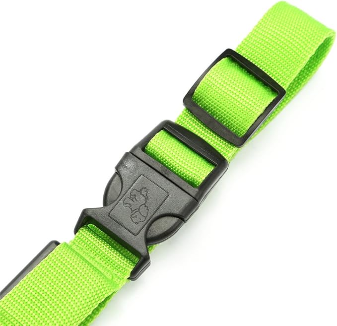 Green Light-Up LED Adjustable Pet Collar (Flashing or Steady Modes) - Rechargeable via USB Cable (Included) by Electronix Express (Medium)