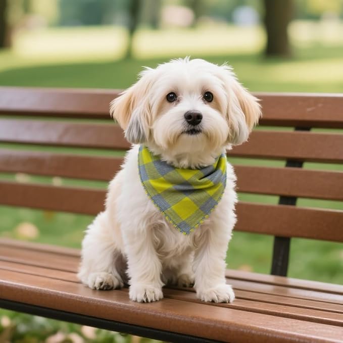 Double Layers Two Tones Dog Cotton Square Bandana Bibs Scarf Kerchief for Small Medium Dogs Boy or Girl - DCB16 G&G