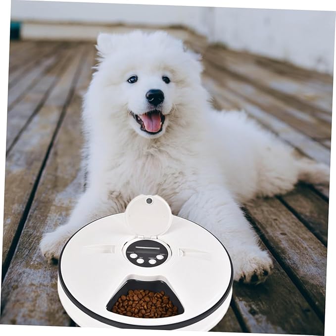 Pet Feeder Pet Bowl Pet Food Container Cat Food Container Pet Feeding Bowl Pet Feeding Supplies Cat Feeding Plate Cat Food Feeder Pet Food Bowl Cat Feeding Bowl