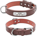 Large Durable Personalized Dog Collar PU Leather Padded Pet ID Collars Customized for Small Medium Large Dogs Cat 4 Size Brown XL