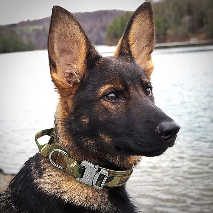 Military Tactical Dog Collar German Shepard Medium Large Dog Collars for Walking Training Duarable Dog Collar Control Handle Camouflage XL