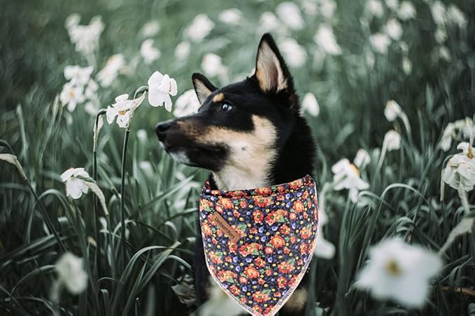 Lionheart glory Dog Bandana 1 Pack Washable Soft Cotton Floral Print Bibs Scarf, Adjustable Kerchief Square Dog Bandanas for Small Dogs