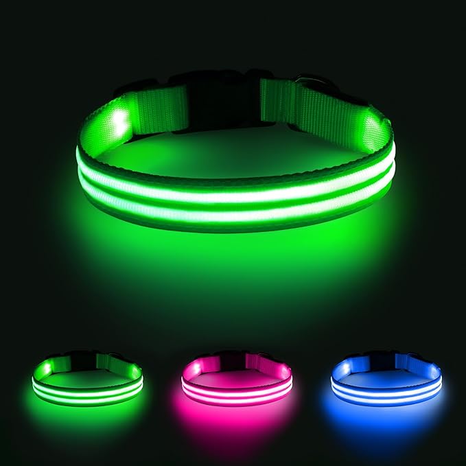 Illumifun Light Up Dog Collar, Rechargeable LED Dog Collar Glow in The Dark, High Visibility Collars Light for Pet Walking at Night (Green, Large)