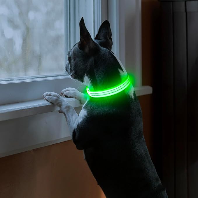Light Up Dog Collars Rechargeable, Reflective LED Glow Dark Dog Collar for Small Medium Large Dogs, Adjustable Pet Dog Lights for Safe Night Walk-Green, Small