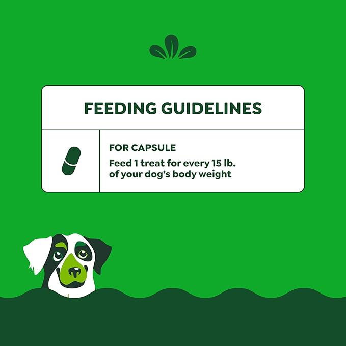Greenies Pill Pockets for Dogs, Large Size Soft Dog Treats, Chicken Flavor and Peanut Butter Flavor, 7.9 oz. Pouch