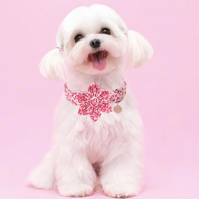 Valentine Dog Collar with Flower, Heart Flower Collar for Puppy Girl Boy Dog or Cat, Comfortable Dog Collar Flower with Durable Metal Buckle, Cute Pet Collar, M, Neck 13.5-22in