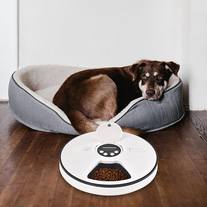 VICASKY Automatic Pet Feeder with Timer and 6-Compartment Feeding Bowl, Intelligent Dry Food Dispenser for Dogs and Cats, Gray-White Pet Feeding Supplies for Scheduled Meals