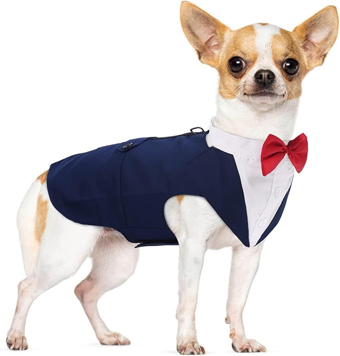 PUMYPOREITY Medium Dog Bowtie Tuxedo Suit, Cat Tuxedo, Dog Wedding Outfit - 2 Pieces/Pack, M, Blue