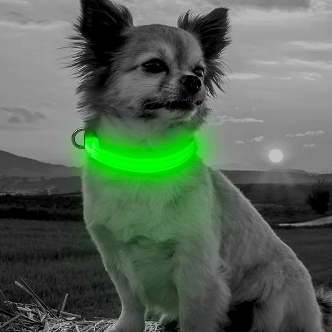 BSEEN Adjustable LED Dog & Cat Collar - Rechargeable, Small Breeds, Green, 8.5-11.8 inches, Nylon, Lightweight, Reflective, 2 Flash Modes