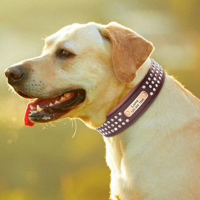 Personalized Crystal Leather Dog Collar Custom Rhinestone Dog Collars with Buckle Free Engraved ID Collar for Medium Large Dogs Brown XL