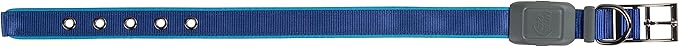 Nite Ize NiteDog Rechargeable LED Collar - Light Up Dog Collar with Durable Metal Buckle - Water-Resistant & Rechargeable Collar - Dog Supplies for Night Activities - Medium, Blue