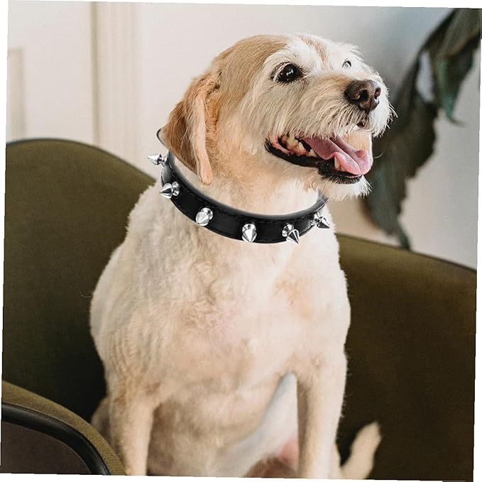 Gadpiparty Rivet Dog Collar Medium Size 2.0cm Wide Black Sturdy Studded Leather Collar for Walking and Training Small to Medium Pets