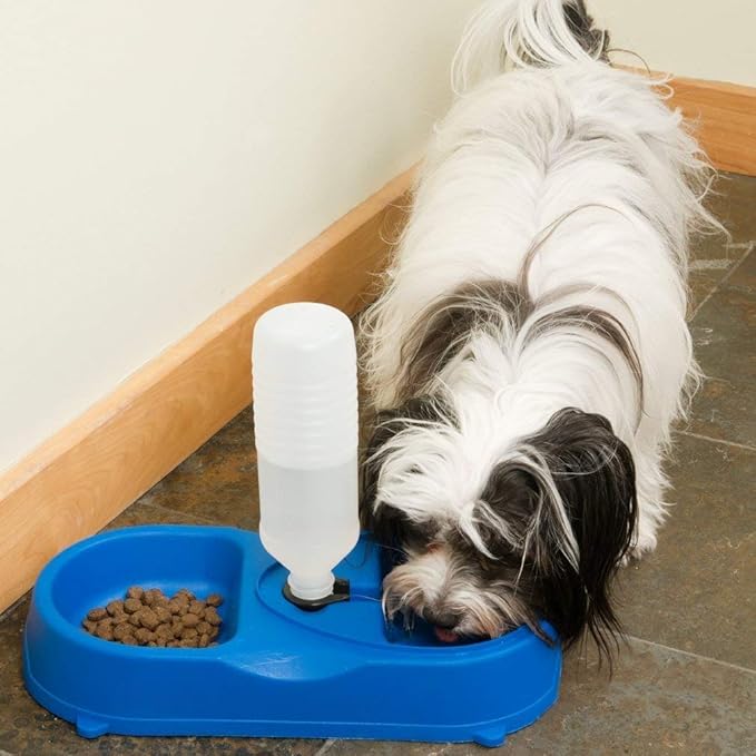 Dual Port Pet Dog Cat Bowl, Automatic Water Dispenser Plastic Feeder Utensils Bowl, Drinking Fountain Food Dish for Dog & Cat