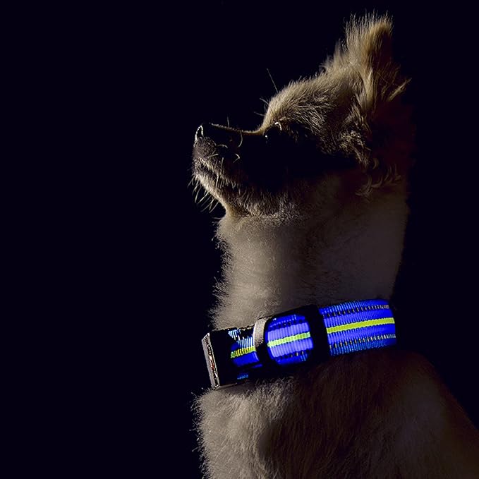 Dog Collar Light USB Rechargeable with Reflective Strips, Waterproof Adjustable Dog Collar Lights Up for Night Walking, Bright Light Collar for Dog