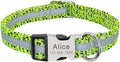 Personalized Pet Dog Collar Reflective Custom Puppy Collars Pitbull Large Dog Collar for Small Pets Chihuahua German Shepherd Green L