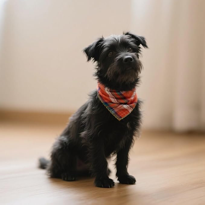 Double Layers Two Tones Dog Cotton Square Bandana Bibs Scarf Kerchief for Small Medium Dogs Boy or Girl - DCB21 O&G