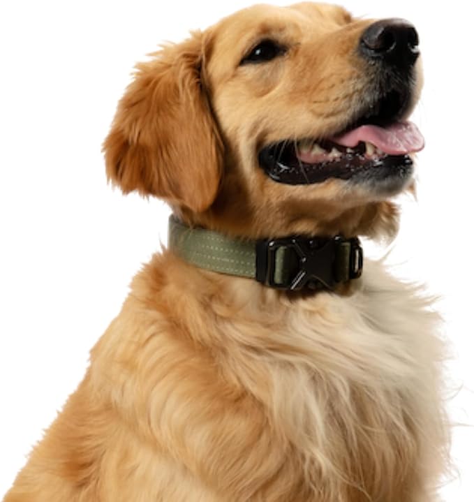 Embark Adventure Pro Dog Collar – Heavy Duty Tactical Dog Collar Stylish & Durable Nylon Dog Collar for Large Dogs, Small Dogs & Medium Dogs. Strong Buckles for Any Size Breed (Small, Green)