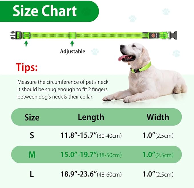 Light Up Dog Collars - USB Rechargeable Reflective LED Dog Collar, Water-Resistant Glow Pet Collar Lights for Night Walking Camping (Green, Medium)