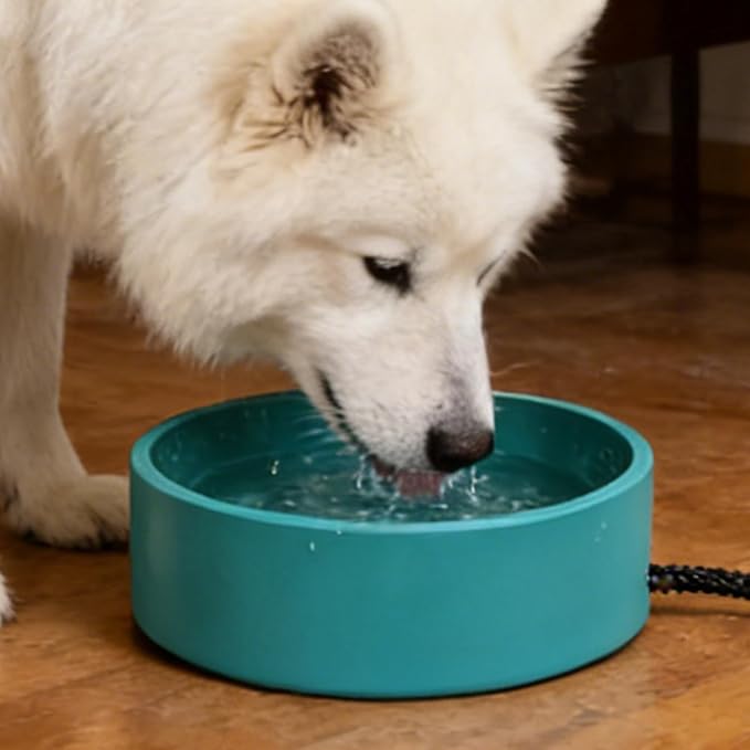 Dogs Water Bowl, 3.2L Large Capacity, Heating Pet Feeder Dish, Heated Water Bowl with Automatic Temperature Control, Multi Purpose Pet Accessory, for Small Medium Large Pets Use