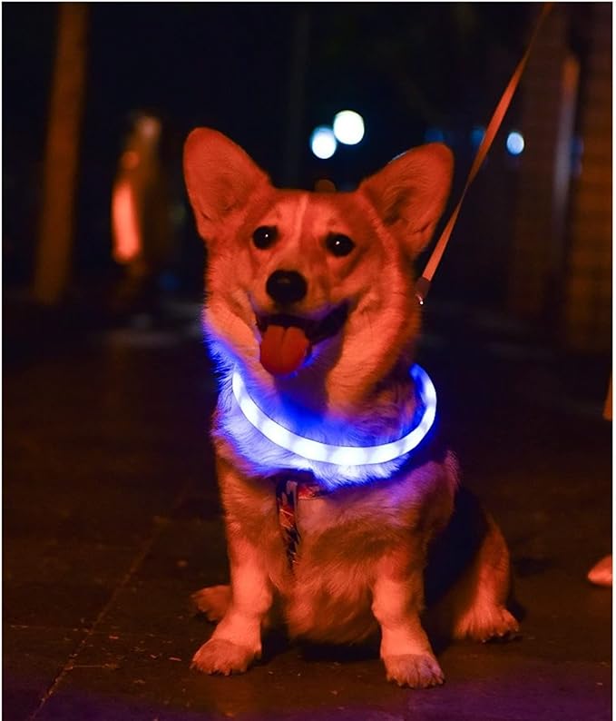 LED Dog Collar- USB Rechargeable Lighted Collar Band, Color Changeable Light Up Pet Collars, Cuttable Dog Safety Lights Glow in The Dark Dog Collars for Night Walking, Fit for Small/Medium/Large Dog