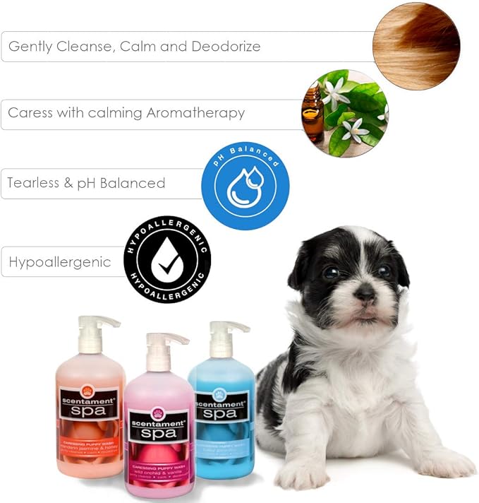Best Shot Scentament Spa Caressing Puppy Wash, Wild Orchid Vanilla, 1 Gallon