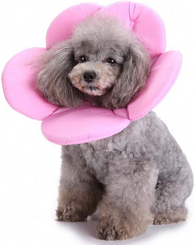 Lakke Flower Colorful Pet Dog Necklace Collar Various Pattern Shape Puppy Playing Collars for Small Dog Pink L