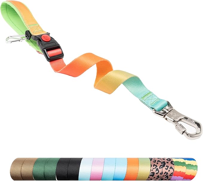 TSPRO Dog Training Leash with Sturdy Metal Buckle, 20 Inches Adjustable Short Leash for Large Dogs, Comfortable Padded Handle (Orange - Red Gradient)
