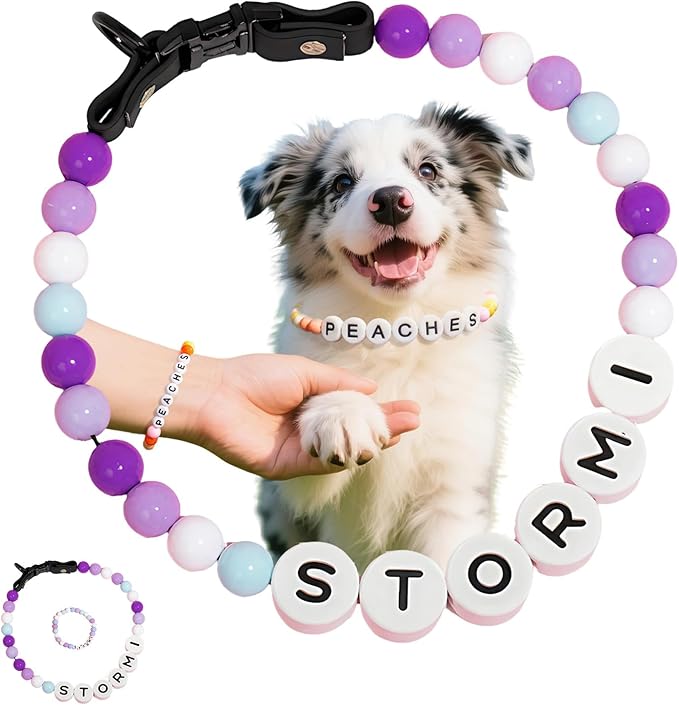 Personalized Beaded Dog Collar with Custom Name & Free Matching Bracelet - Adjustable Rainbow Pet Necklace Collar for Cats Dogs | Pet Lover Gift (#B)
