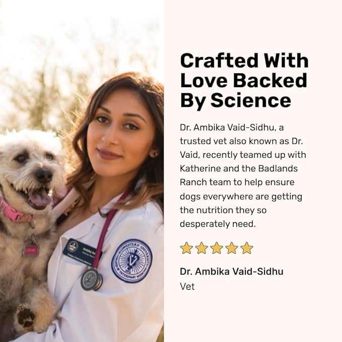 BADLANDS RANCH by Katherine Heigl – Superfood Complete Air-Dried Beef Dog Food – High Protein with Superfoods for Daily Wellness & Consistent Nutrition – 64 oz (Pack of 4)