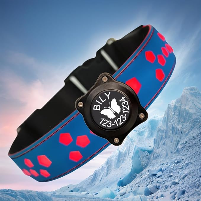 Personalized Light up Black Dog Collar with airtag Holder for Night Walk (Blue Collar 15 Modes Lighting, L(15.7-19.7"))