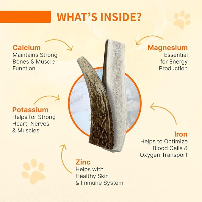 Tibetan Elk Antler for Dogs, Grade-A, 7"+ Premium Antler Chews, Naturally shed Healthy & Longer Lasting Aggressive chewers, USA Product (Whole)
