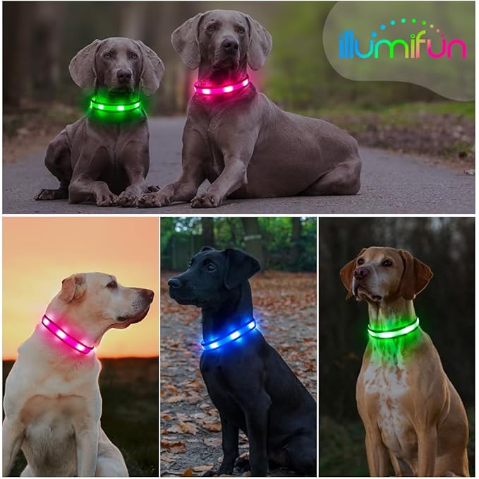 Illumifun Light Up Dog Collar - USB Rechargeable Dog Light Glow in The Dark - High Visibility LED Dog Collar for Night Walking (Medium, Fluorescent Green)
