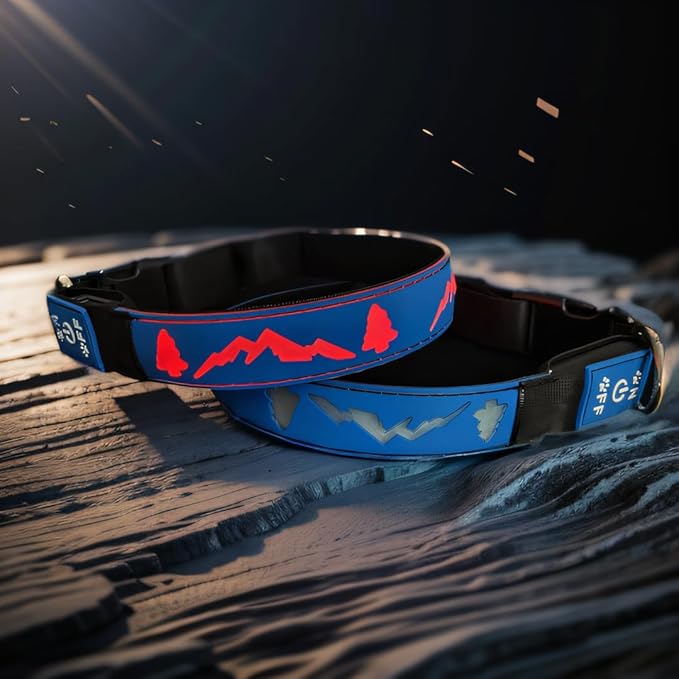 LED Dog Collar, 15 Light Modes, USB-C Rechargeable, Silicone Material, Adjustable Size, (Blue, M(11.8-15.7"))