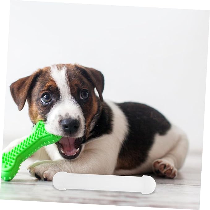 Dog Nose Scent Work Training Tool Scent Training Kit for Dogs Nosework
