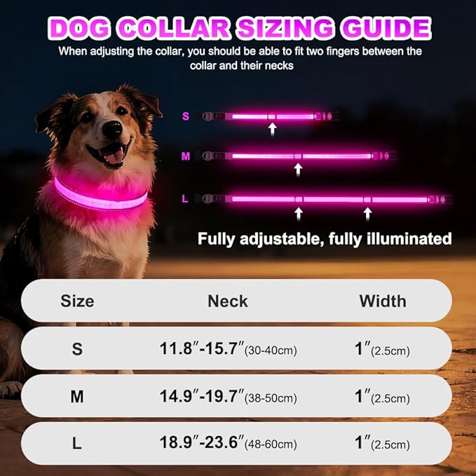 LED Dog Collar USB Rechargeable - Light Up Dog Collar Safety Pet Collars with Lights for Night Walking, Camping (Pink, L)
