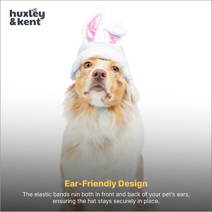 Huxley & Kent Pet Hat for Dogs & Cats - Cute Easter Costume Hat with SnugFit Adjustable Straps - Soft Cap for Spring, Photos & Parties - Bunny Ears, Extra Large