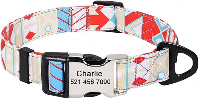 Cute Custom Dog Collar Leash Personalized Fruit Print Nylon Dog Collar Lead Engraved Name ID for Small Medium Large Dog Pitbull 160 White Collar S