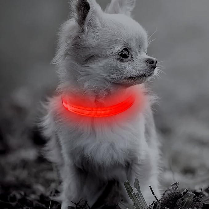 Candofly Light Up Dog Collar for Small Dogs & Cats, Safety Lighted Puppy Collar USB Rechargeable LED Collars for Night Walking Camping (X-Small, Red)