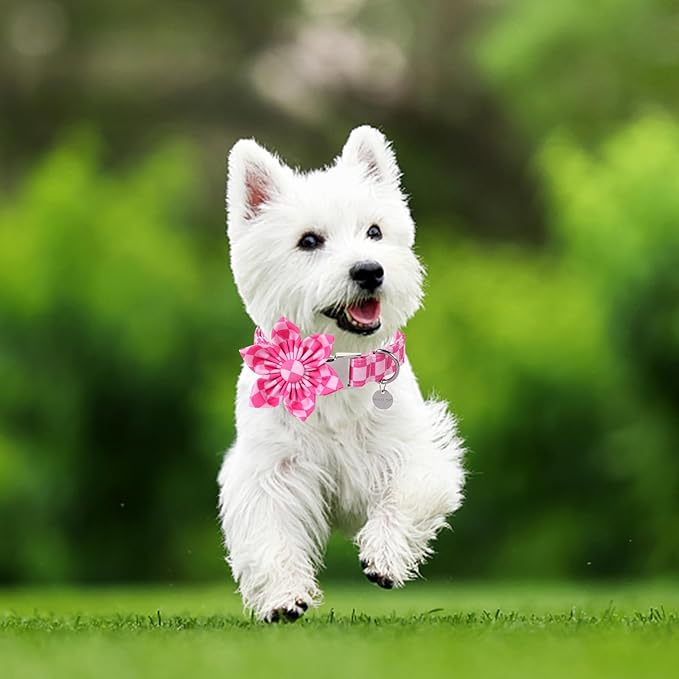 Dog Collar with Flower, UP URARA PUP Cute Pink Dog Bowtie Collar, Detachable Flower Bow Puppy Collar with Metal Buckle for Dogs,S