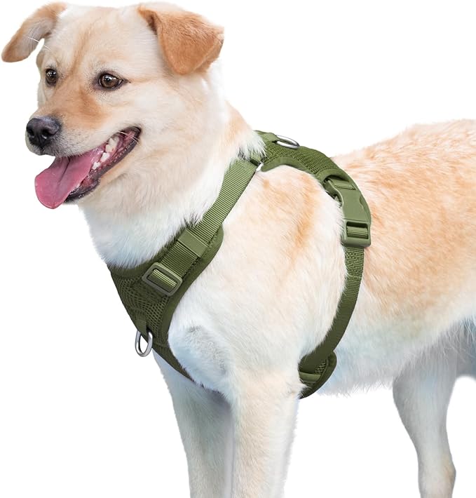 No Pull Dog Harness for Small Medium Large Dogs - Adjustable 2 Layer Mesh Dog Vest with Dual Clip, Escape Proof, Quick Release, Lightweight Breathable Mesh for Walking Hiking (Misty Green,M)