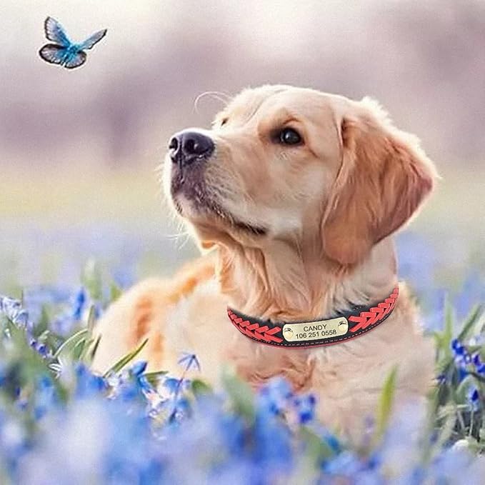 Personalized Braided Dog Collar Custom PU Leather Dog Collars Padded Pet ID Collar for Small Medium Large Dogs Pitbull Bulldog Red M