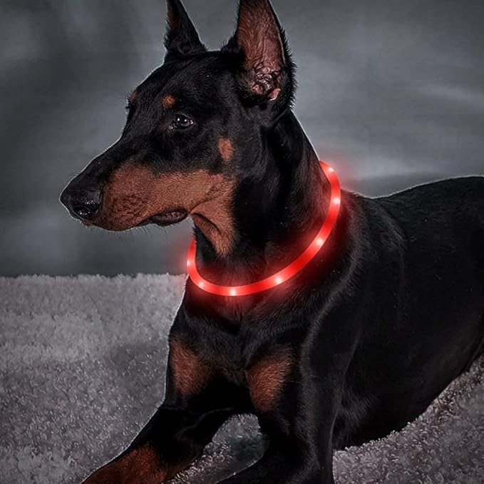 BSEEN Light Up Dog Collar, Silicone LED Dog Collar Rechargeable Cat Collar Cuttable Glowing Puppy Necklace Safety Dog Lights for Night Walking (Red)