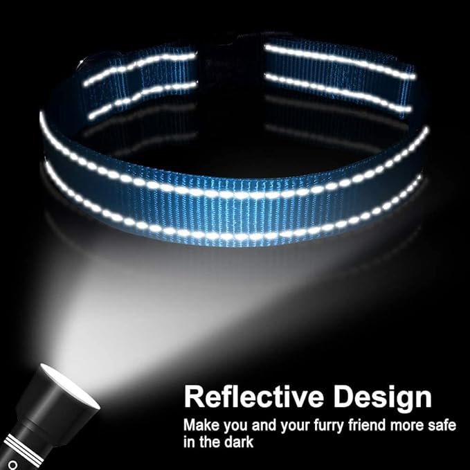 FunTags Reflective Dog Collar, Sturdy Nylon Collars for Puppy and Extra Small Girl and Boy Dogs, Adjustable Dog Collar with Quick Release Buckle,SkyBlue,5/8" Width
