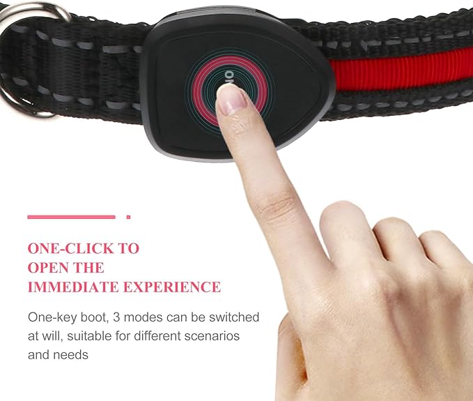 BESTonZON Glowing USB Rechargeable Pet Collar 50Cm Red Luminous Dog Collar with 3 Flashing Modes for Night Safety in Medium Dogs