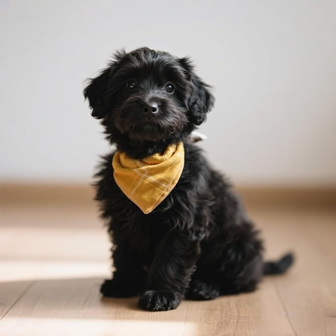 Double Layers Two Tones Dog Cotton Square Bandana Bibs Scarf Kerchief for Small Medium Dogs Boy or Girl - DCB27 Y&W